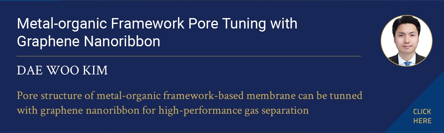 Metal-organic Framework Pore Tuning with Graphene Nanoribbon